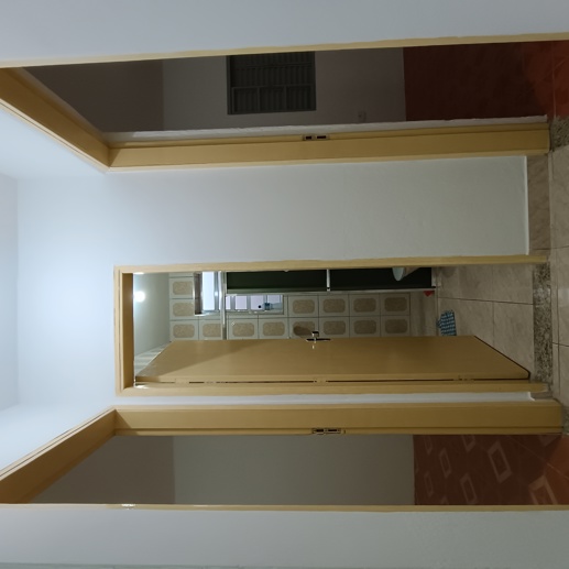 Casa com 4 Quartos à Venda, 305,90 m² - Foto 4